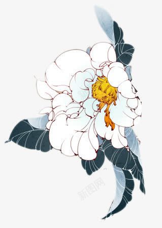 手绘复古白色花朵花叶png免抠素材_新图网 https://ixintu.com 复古 白色 花叶 花朵