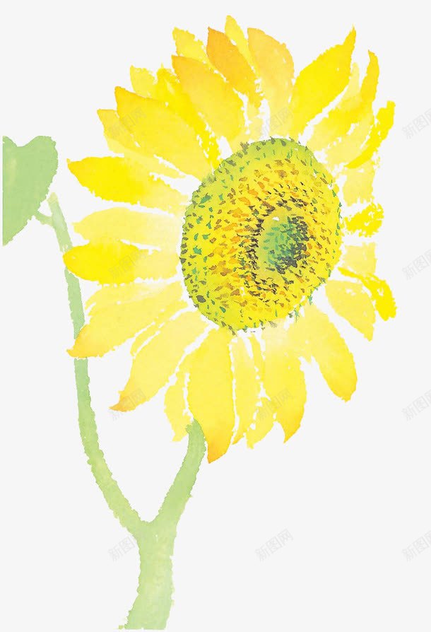 手绘向日葵png免抠素材_新图网 https://ixintu.com 向日葵 太阳花 手绘植物 绿色叶子 金色