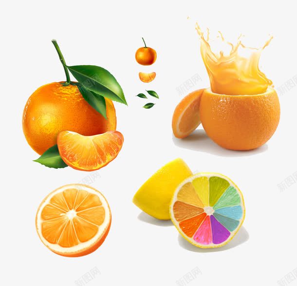 脐橙和橘子psd免抠素材_新图网 https://ixintu.com 橘子 水果 脐橙