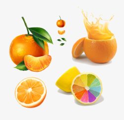 脐橙和橘子素材