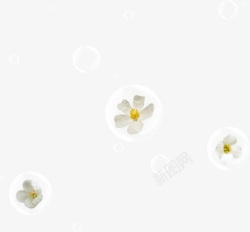 气泡里的白色小花素材
