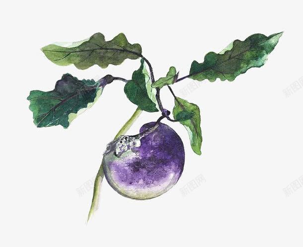 手绘小茄子png免抠素材_新图网 https://ixintu.com 小清新 手绘 水彩 紫色 茄子 蔬菜