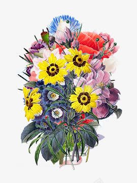 五颜六色的花png免抠素材_新图网 https://ixintu.com png图形 png装饰 彩色 手绘 花朵 装饰