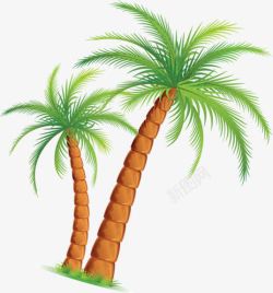 棕色螺旋棕色螺旋树干椰子树高清图片