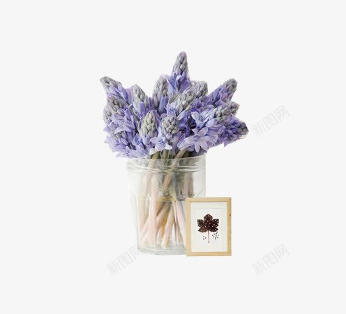 紫色的花png免抠素材_新图网 https://ixintu.com 瓶子 紫色的花 花 花朵