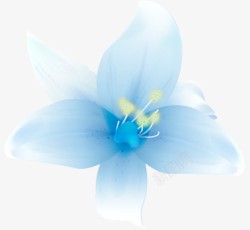 蓝色创意花卉植物合成效果素材