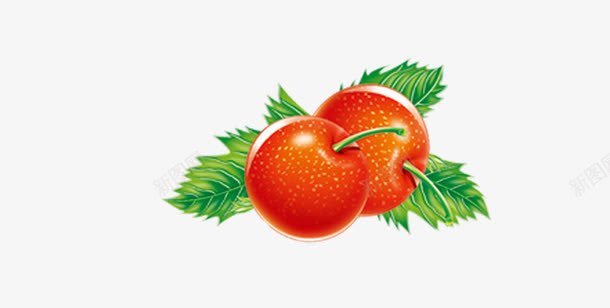 西红柿png免抠素材_新图网 https://ixintu.com 健康 农业 扣好的水果 水果 瓜果 绿色 蔬菜