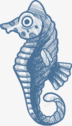 海洋生物手绘蓝色海马素材