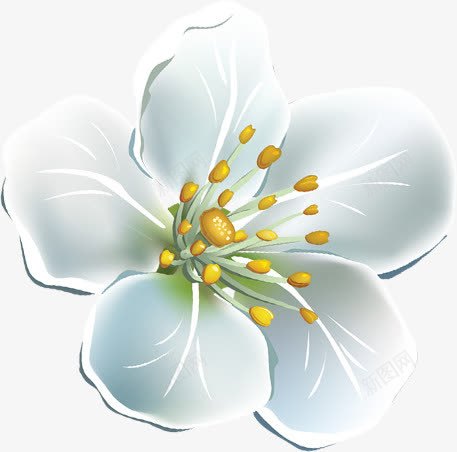 手绘白色清新花朵唯美png免抠素材_新图网 https://ixintu.com 清新 白色 花朵