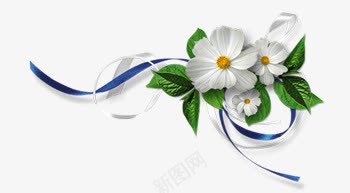 白色花朵蓝色飘带装饰png免抠素材_新图网 https://ixintu.com 白色 花朵 蓝色 装饰 飘带