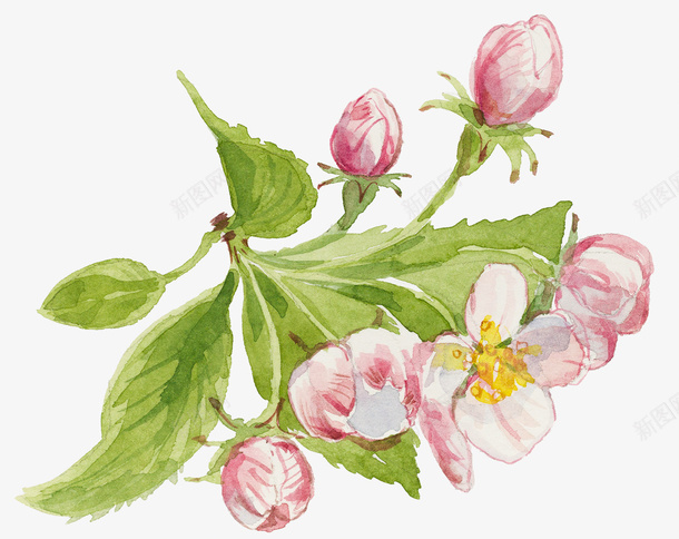 花朵油画png免抠素材_新图网 https://ixintu.com 卡通 叶子 油画 白色 粉色 绿色 花朵 装饰