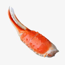 阿拉斯加鳕蟹蟹爪素材
