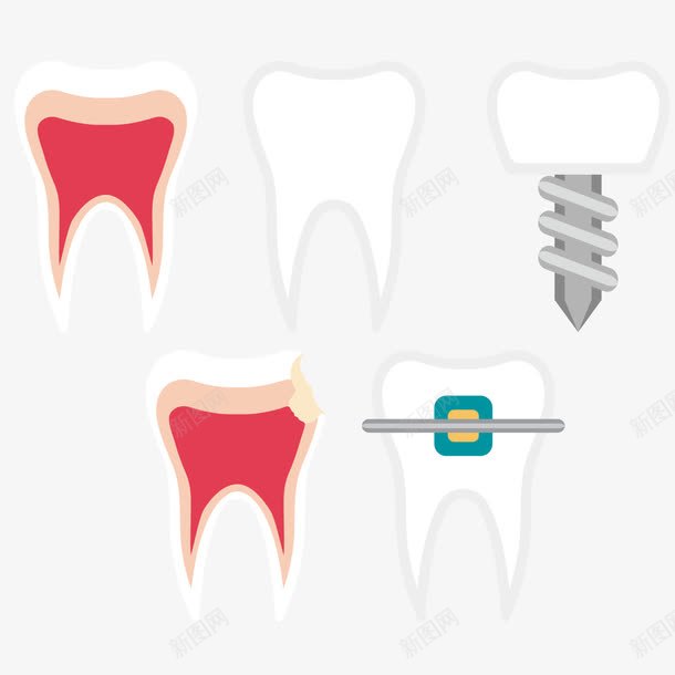 牙科牙齿矢量图ai免抠素材_新图网 https://ixintu.com 卫生 口腔 清洁 牙科 牙齿 矢量图