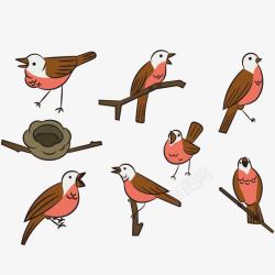 八种姿势的鸟素材