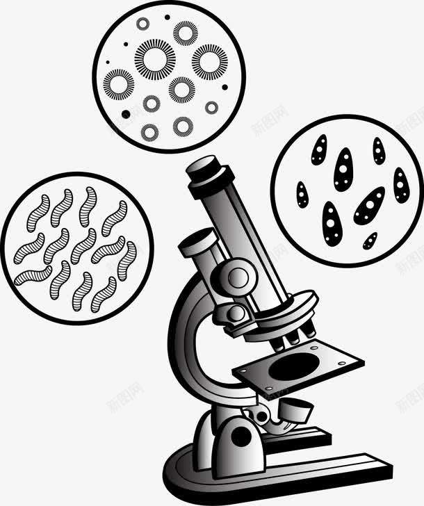 显微镜png免抠素材_新图网 https://ixintu.com 免费矢量下载 插画 显微镜 细胞 细胞简笔画