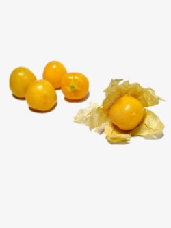 黄色灯笼果水果菇凉高清图片