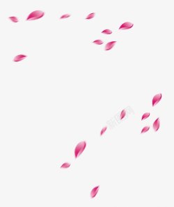 落下的粉色花瓣素材