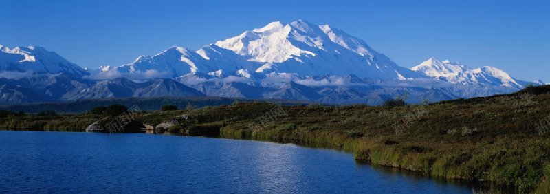 风景风光摄影树林自然风景摄影自然景观摄影摄影自背景