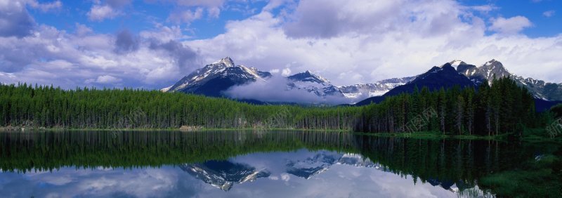 风景风光摄影树林自然风景摄影自然景观摄影摄影自jpg设计背景_新图网 https://ixintu.com 图片 底纹 摄影 摄影图片 树林 自然景观 自然风景 蓝天白云 风光 风景