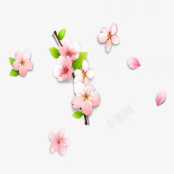 春天盛开粉色桃花素材
