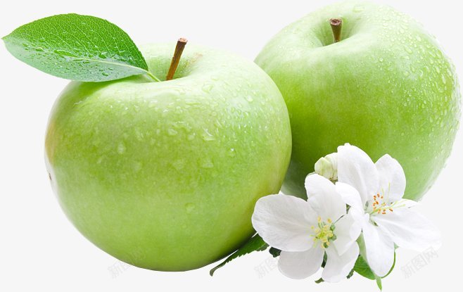 新鲜水果青苹果png免抠素材_新图网 https://ixintu.com 嘎啦苹果 小苹果 绿苹果 青苹果 新鲜 水果 苹果