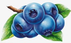 蓝莓水果蔬菜素材
