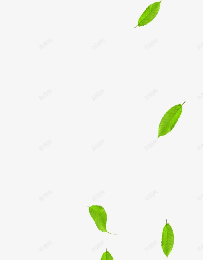 实物绿叶漂浮装饰图案png免抠素材_新图网 https://ixintu.com 漂浮的叶子 充满活力 漂浮的 文献 文艺 新鲜 树叶 绿色 艺术 厂 叶 吹 风
