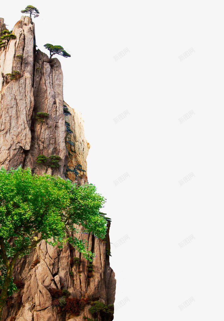 纹理场景海量平面尽在花道士不妨点击我的头像看看png免抠素材_新图网 https://ixintu.com 不妨点击我的头像 海量平面尽在 纹理 花道士 谢谢大家的关注 高清场景