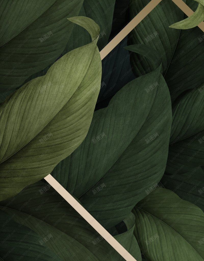 精美热带植物绿叶海报分层PSD地产2jpg设计背景_新图网 https://ixintu.com 图片2 地产