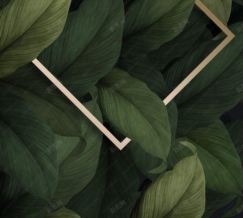 精美热带植物绿叶海报分层PSD地产2jpg设计背景_新图网 https://ixintu.com 图片2 地产