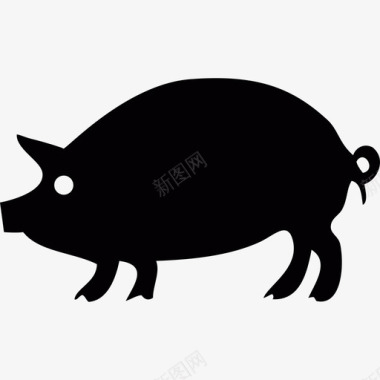 猪的轮廓动物图标图标