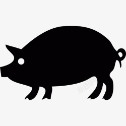 猪轮廓猪的轮廓动物图标高清图片