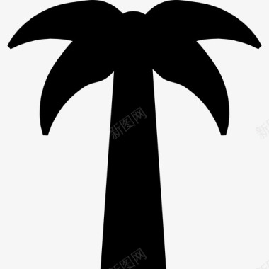 对称棕榈树自然通用07图标图标