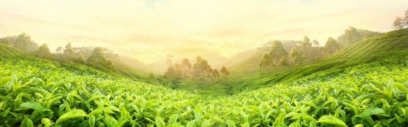 banner大搜集banner大搜集背景