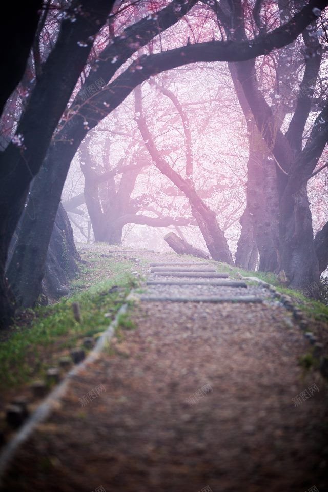 向山兰园樱桃树洞天空白云蓝天白云合成场景天空蓝天白jpg设计背景_新图网 https://ixintu.com 合成 向山兰园 场景 天空 樱桃树洞天空 海水 海洋 白云 蓝天 蓝天白云