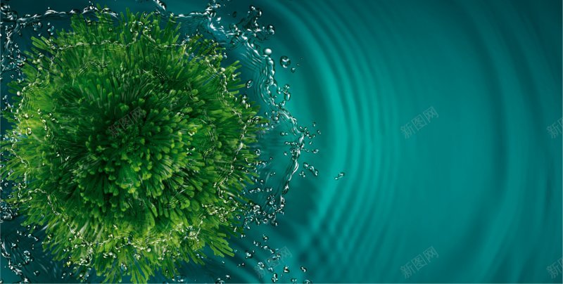 复活草jpg设计背景_新图网 https://ixintu.com 复活草
