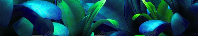 夏天节气手绘植物图底纹肌理jpg设计背景_新图网 https://ixintu.com 夏天节气手绘植物图 底纹 肌理