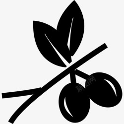 树枝上的橄榄树枝上的橄榄食物生态图标高清图片