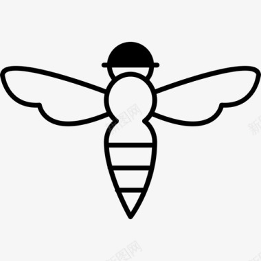 有蜜蜂刺的动物图标图标