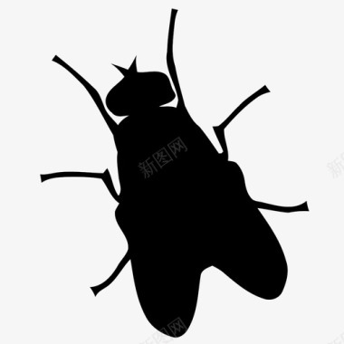苍蝇动物虫子嗡嗡声昆虫图标图标