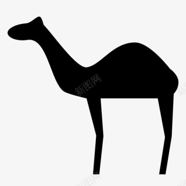 骆驼动物哺乳动物图标图标