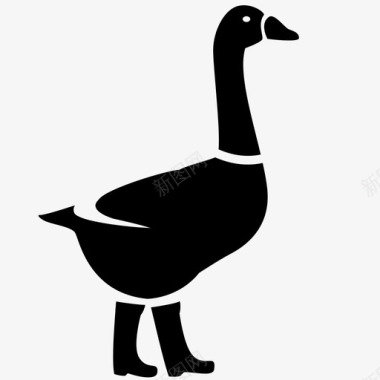 鹅动物鸭子图标图标