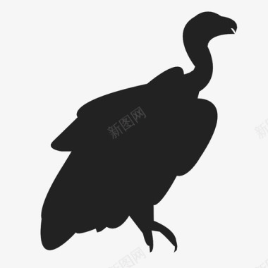 秃鹫动物鸟飞行食腐动物图标图标