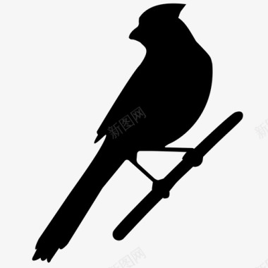 红雀动物鸟图标图标