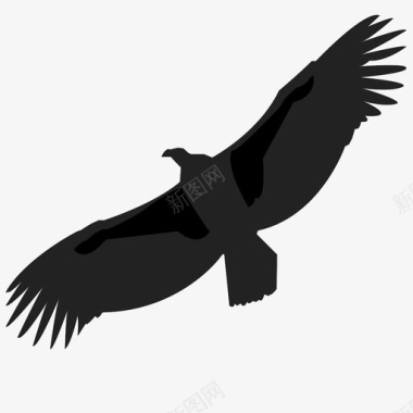 秃鹰秃鹫食腐动物捕食者飞行图标图标