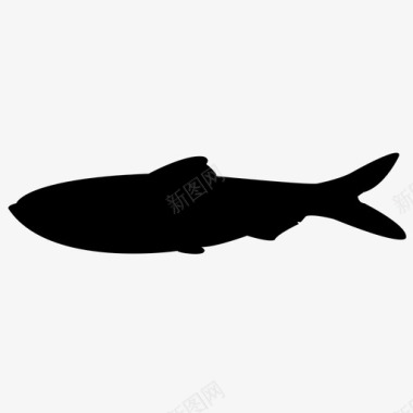 鲱鱼鱼食物海洋海洋动物图标图标