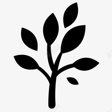 植物植物学灌木图标图标