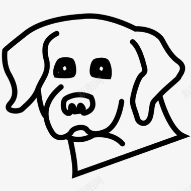 狗动物金毛猎犬图标图标