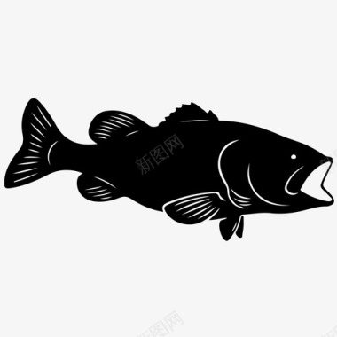 野生鲑鱼水下鲑鱼图标图标