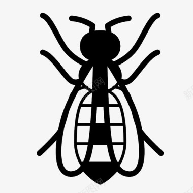 蜜蜂动物蜂群图标图标